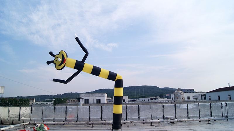 柳州蜜蜂空中舞星